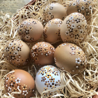 /album/fotogalerie-avadesign/product-img500w-52-jpg/